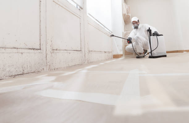 24/7 Emergency Crawl Space Mold Removal experts in Perkasie, PA