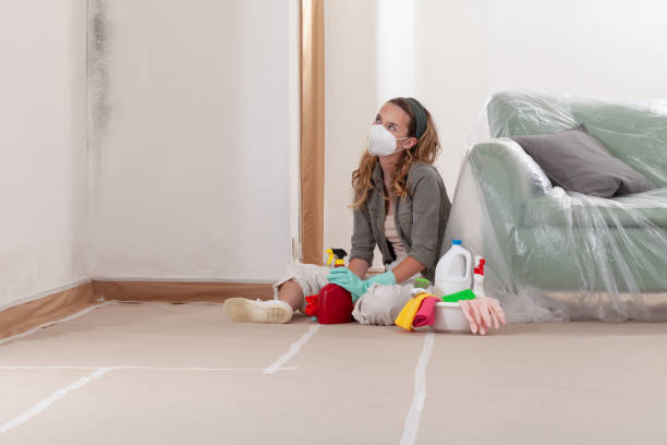 Reliable Crawl Space Mold Removal contractor in Perkasie, PA by WQB Mold Removal