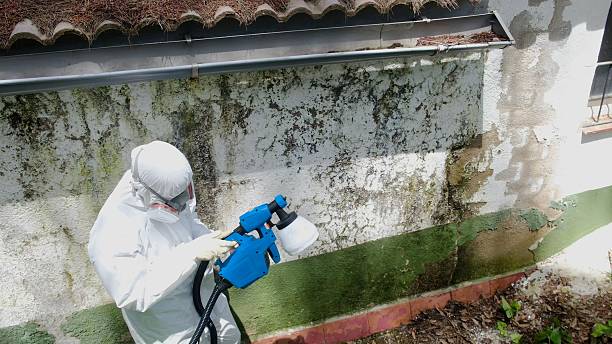 Top rated local Crawl Space Mold Removal specialists in Perkasie, PA